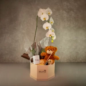 Box luxo romântico com pelúcia, caneca e orquídea