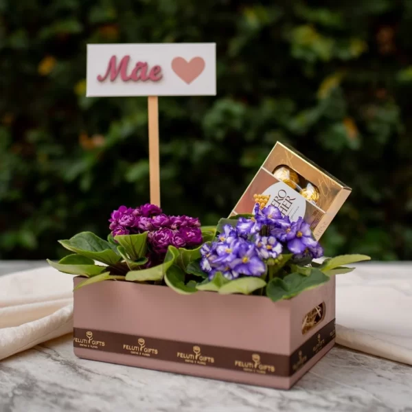 Presente para mãe contém flores Violeta e cacha de Ferrero Rocher