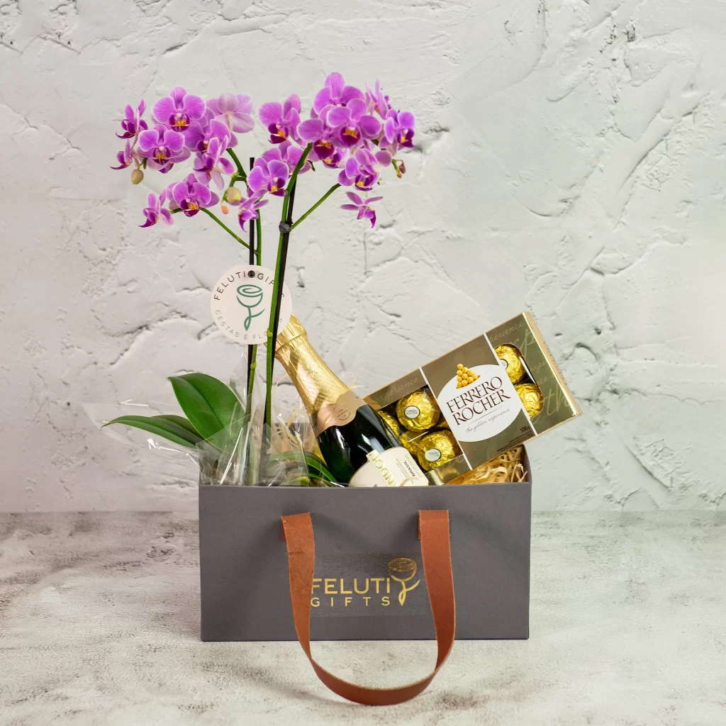 Kit Mini Orquídea Phaleanopsis