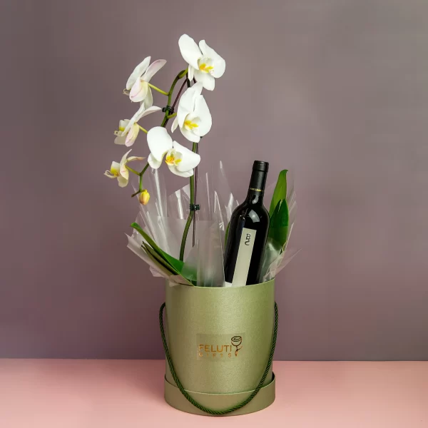 Orquidea Luxo com Vinho