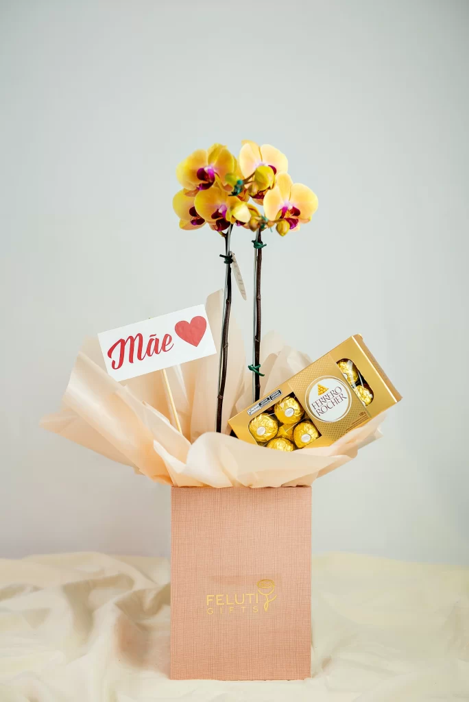 Orquídea Phaleanopsis I